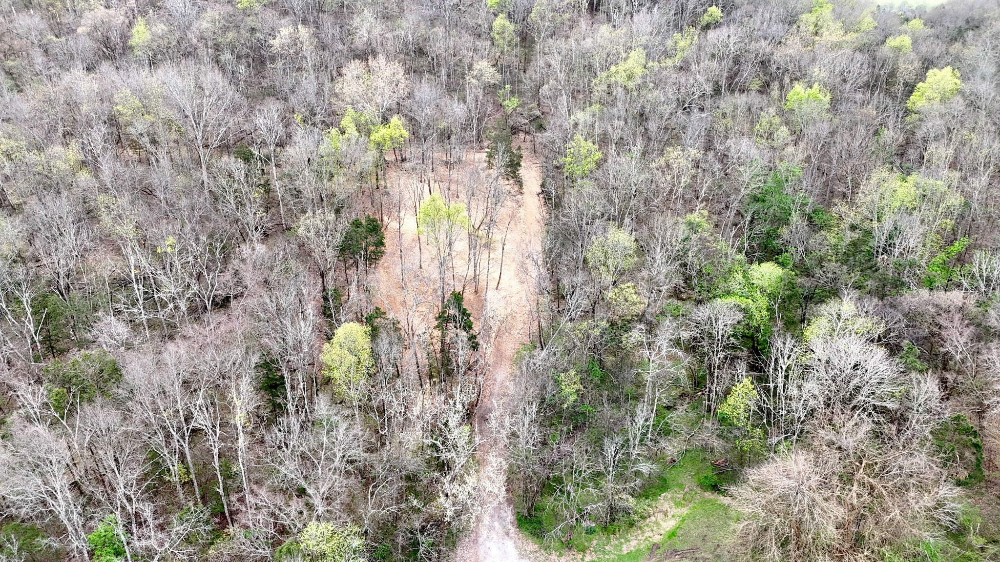 0 Saddle Lane Hartsville TN 37074