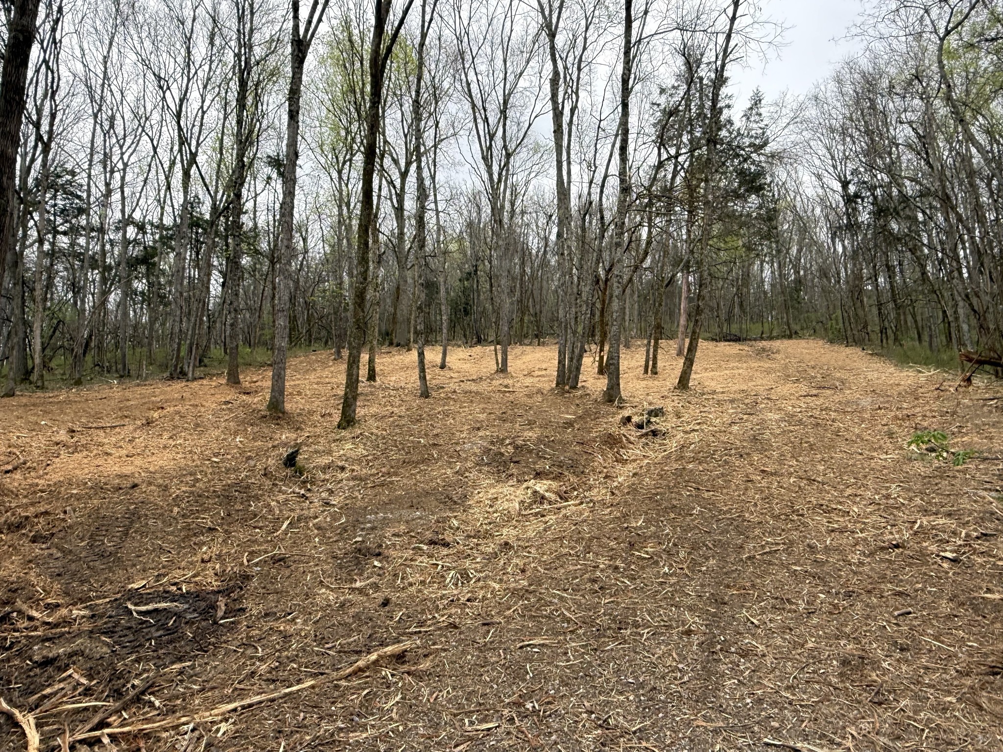 0 Saddle Lane Hartsville TN 37074