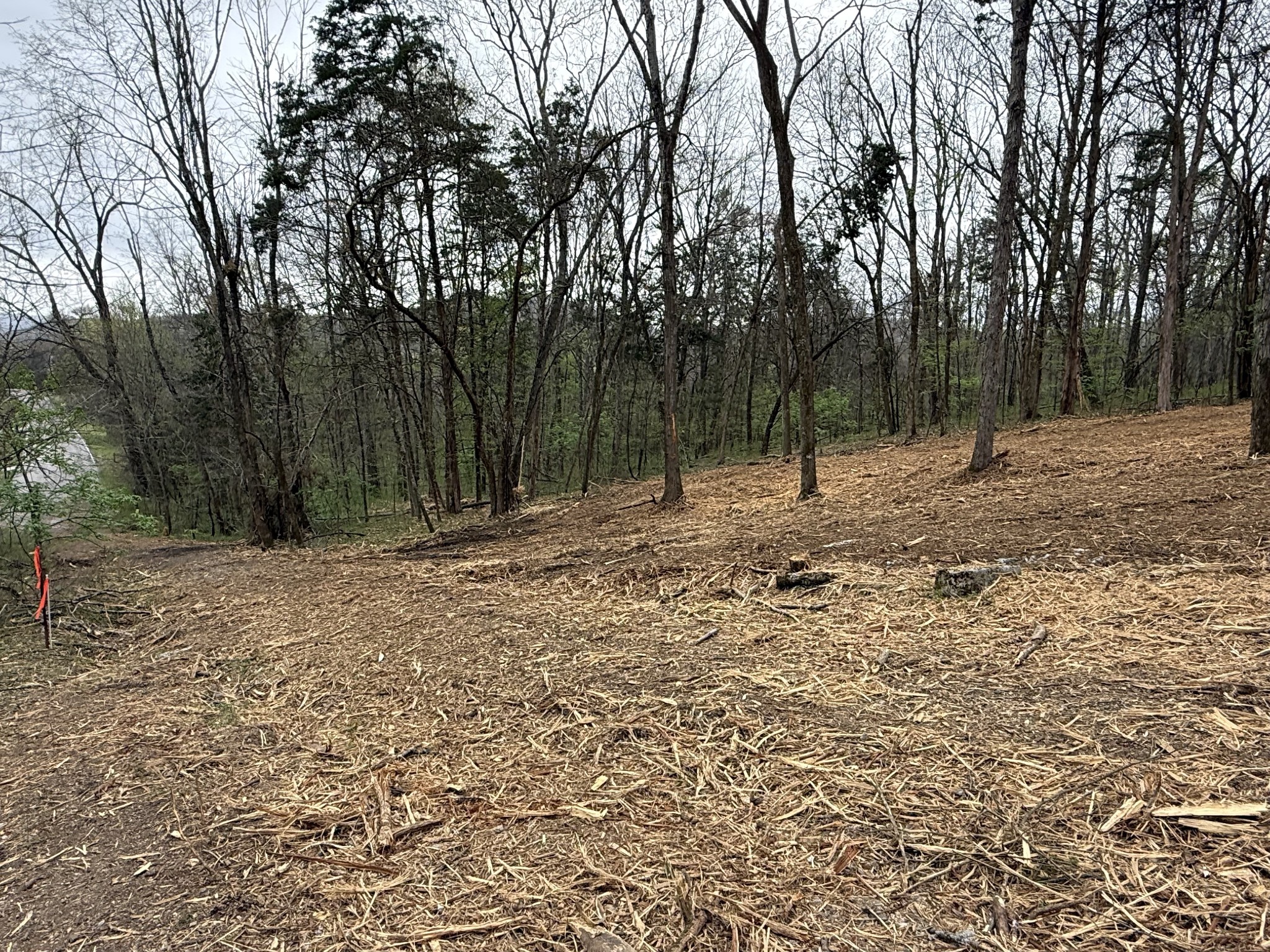 0 Saddle Lane Hartsville TN 37074