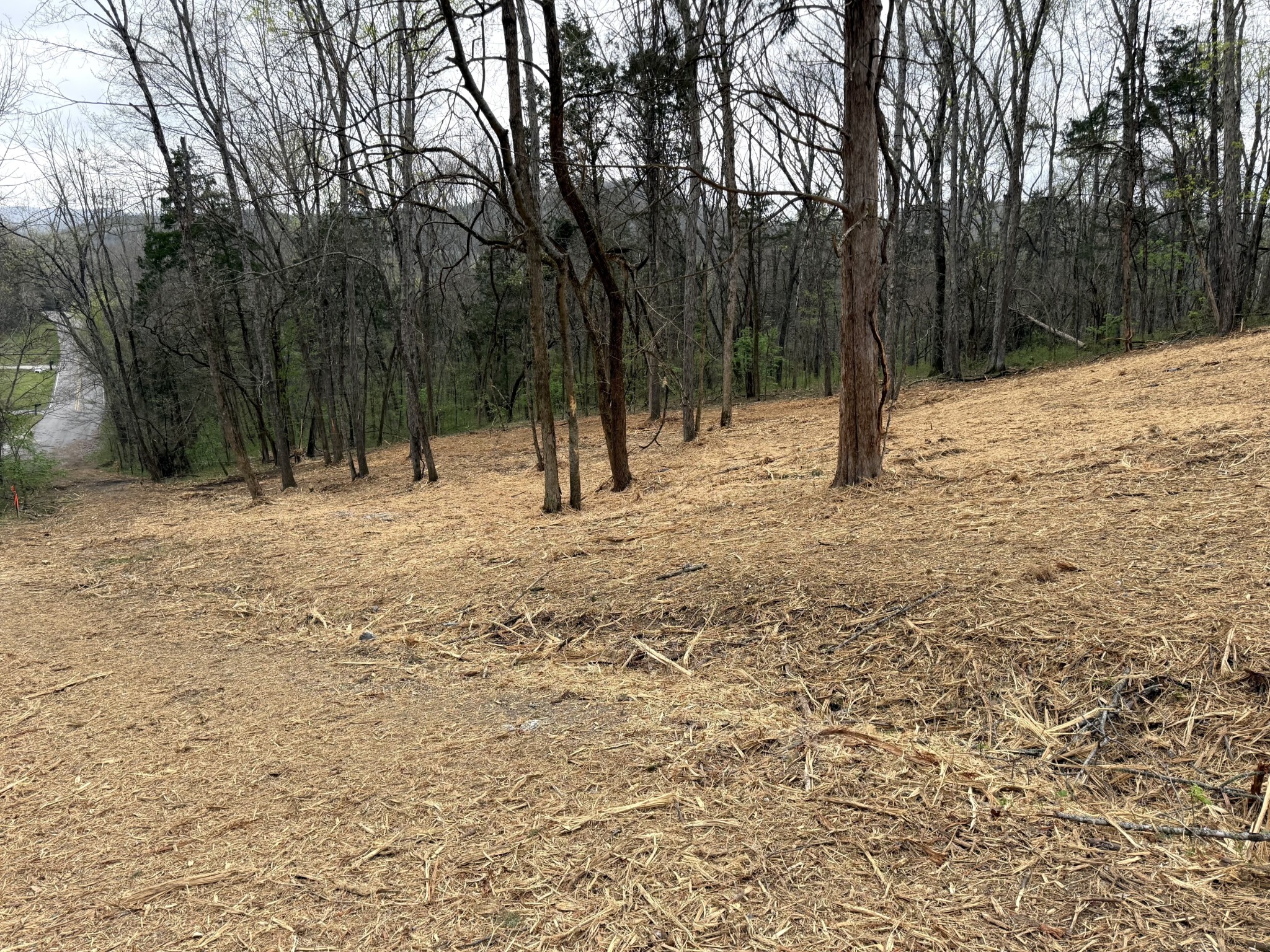 0 Saddle Lane Hartsville TN 37074