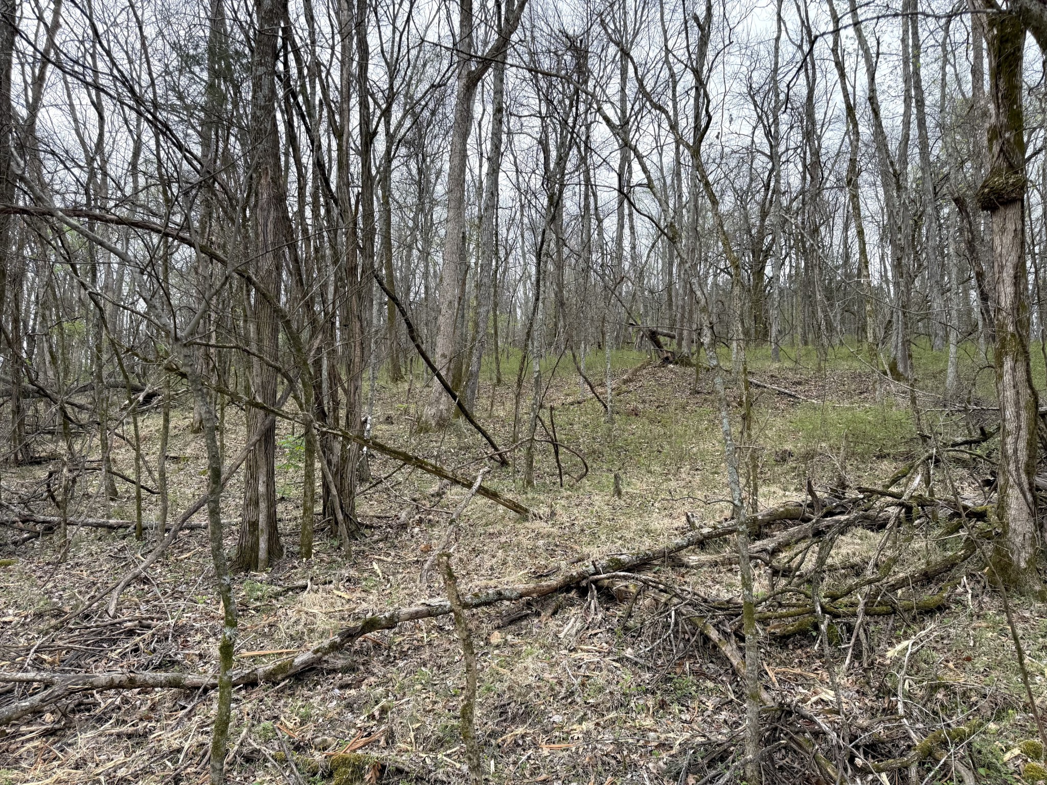 0 Saddle Lane Hartsville TN 37074