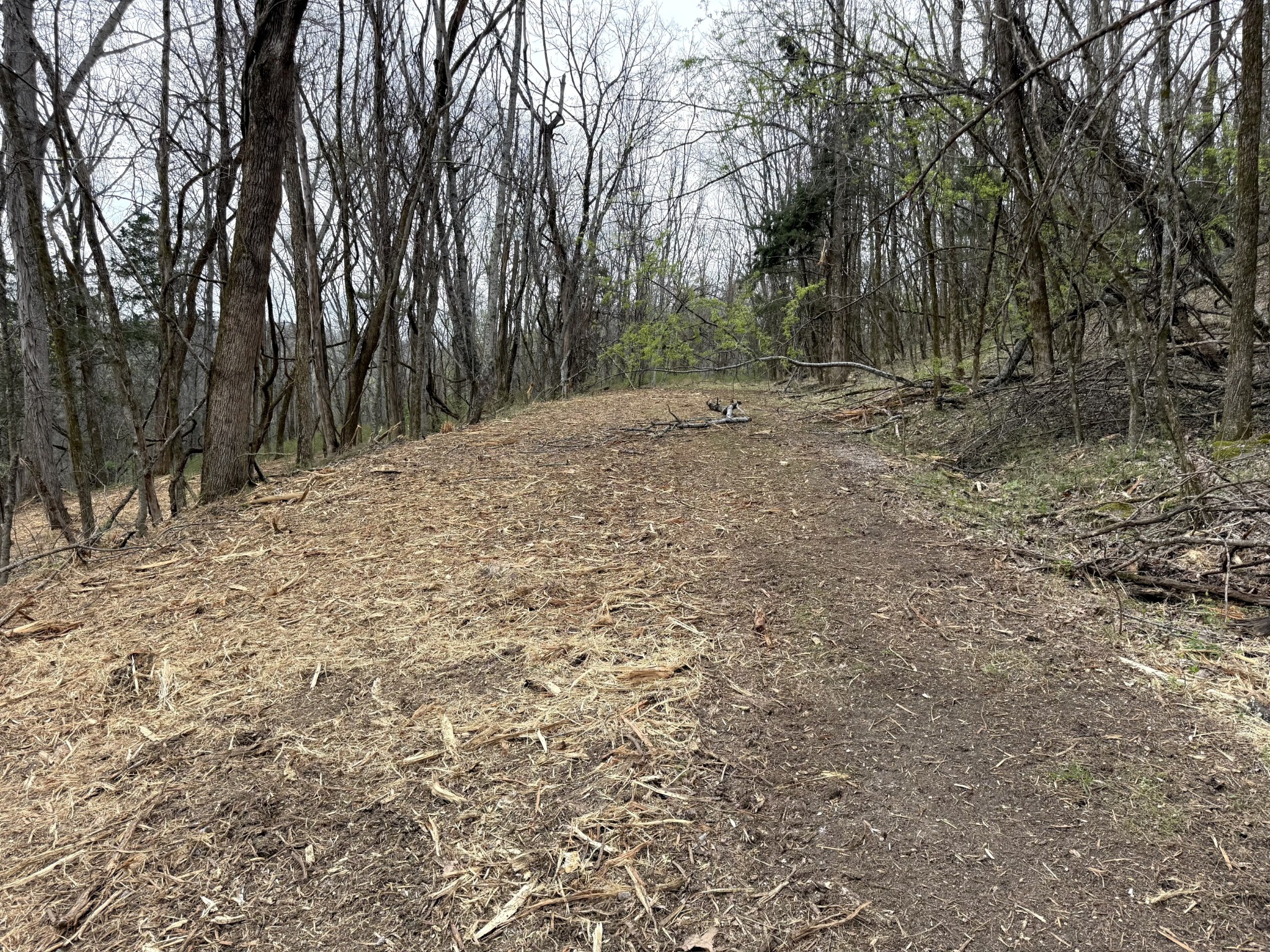 0 Saddle Lane Hartsville TN 37074