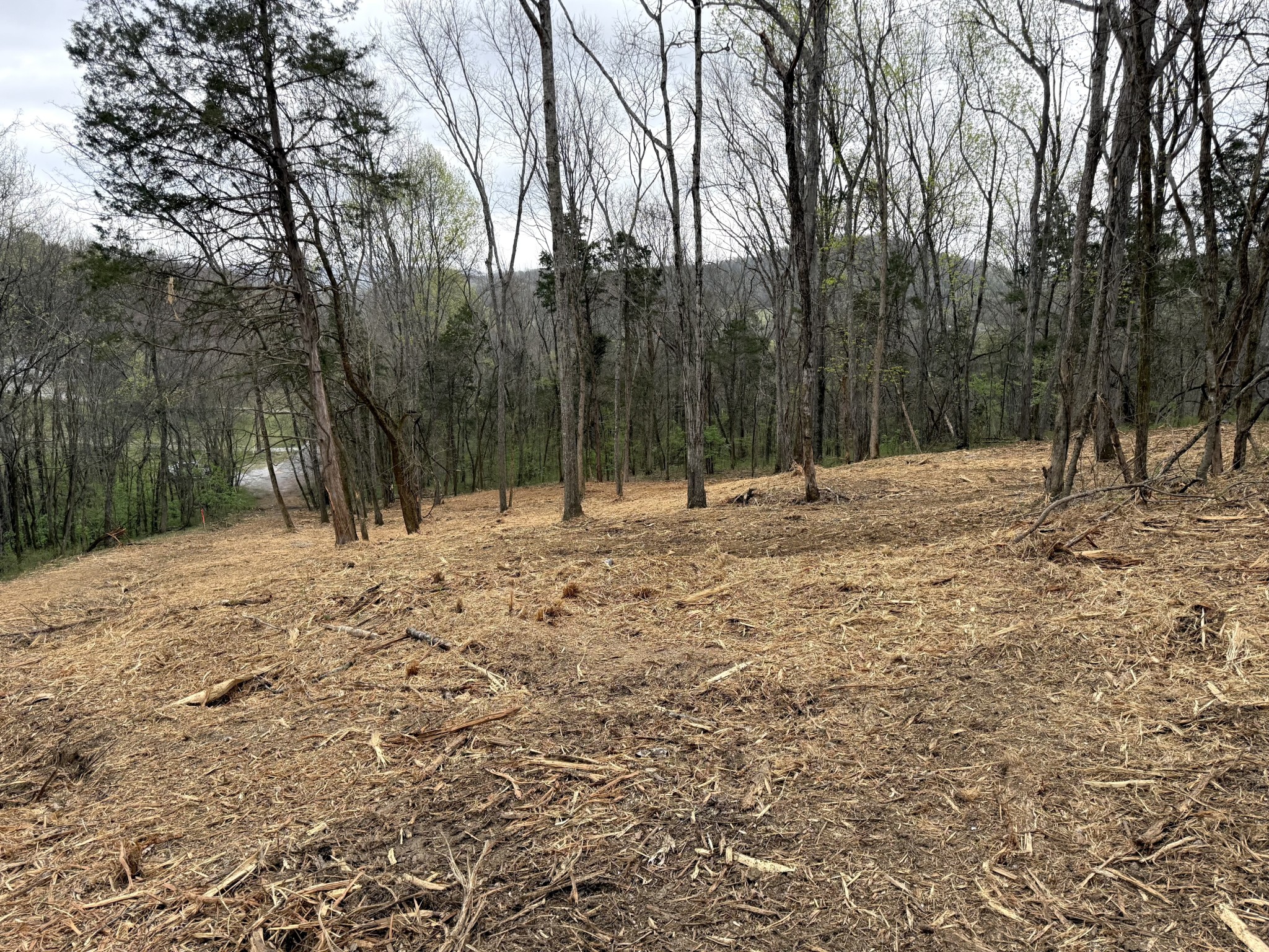 0 Saddle Lane Hartsville TN 37074