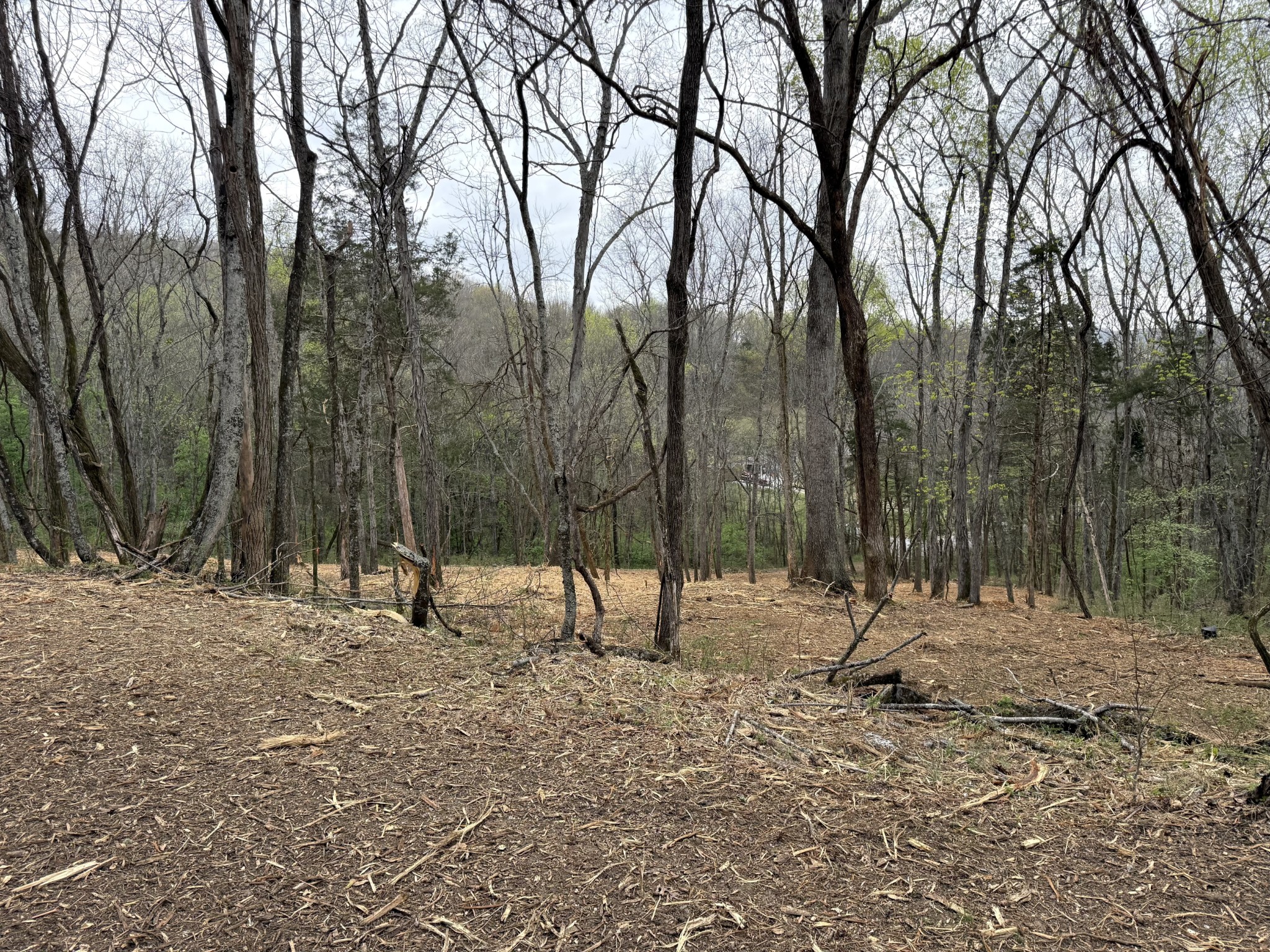 0 Saddle Lane Hartsville TN 37074