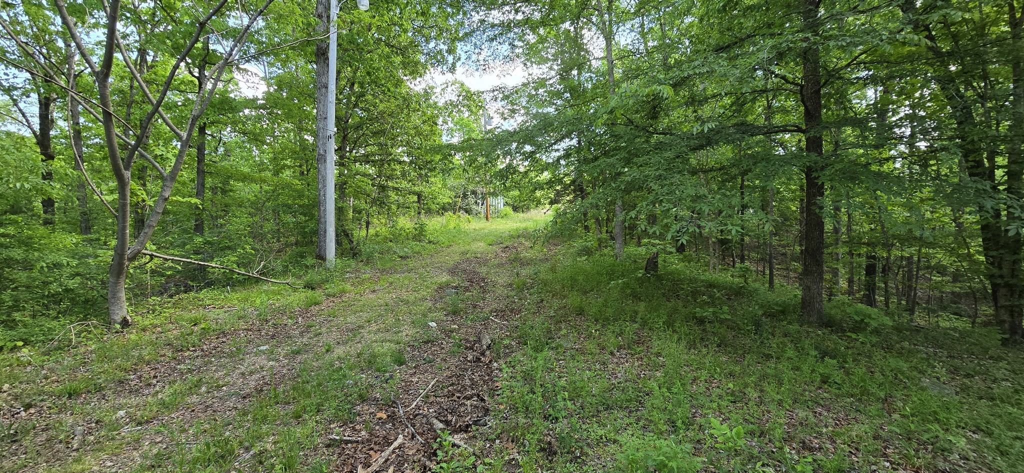 578 Cyclone Lane Waverly TN 37185