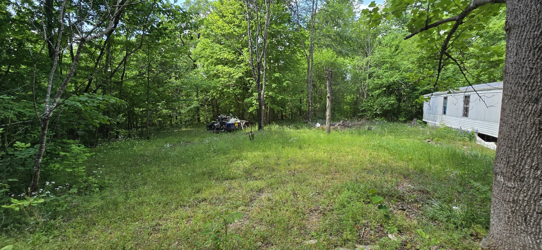 578 Cyclone Lane Waverly TN 37185