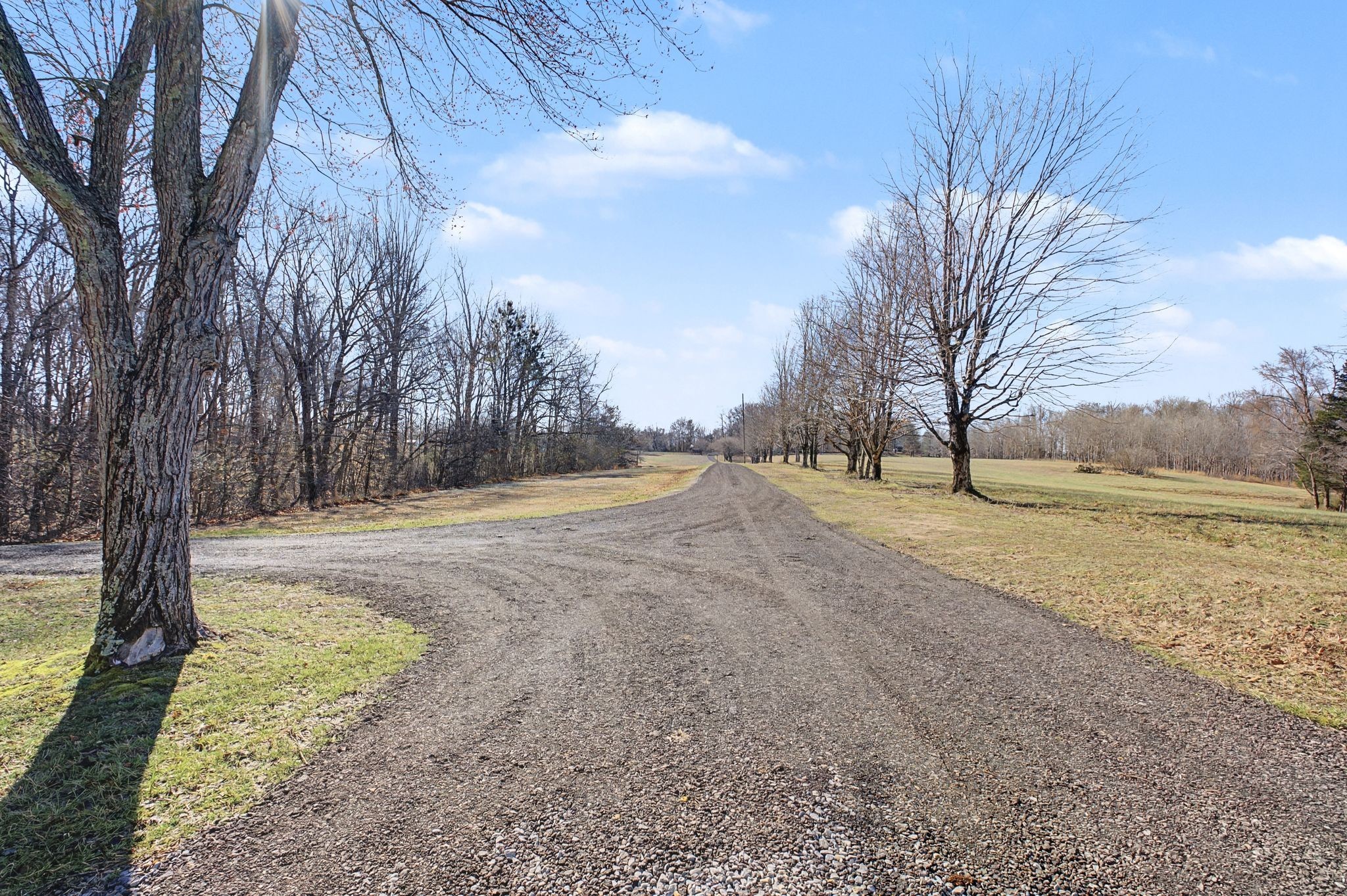 1231 Abiff Road Bon Aqua TN 37025