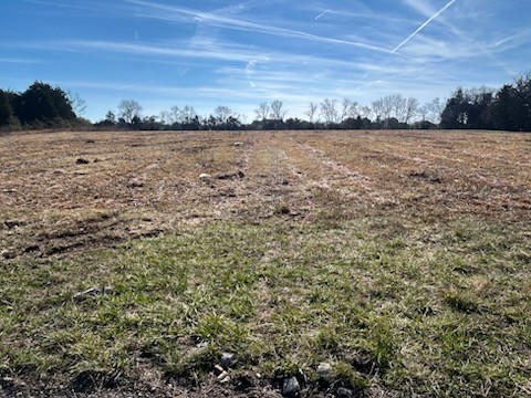 0 Hartmann Drive Lebanon TN 37087