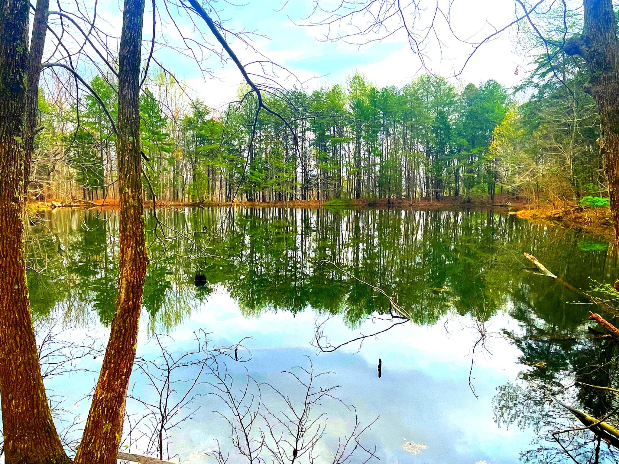 168 Teludachee Trail South Pittsburg TN 37380