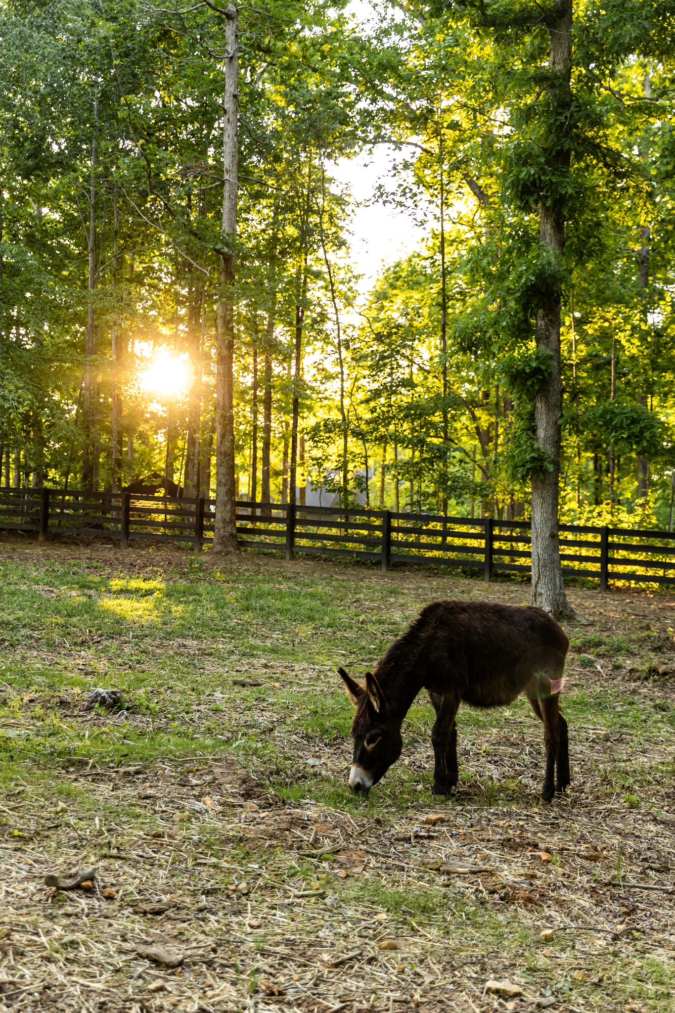 5004 Cobbler Ridge Road Franklin TN 37064