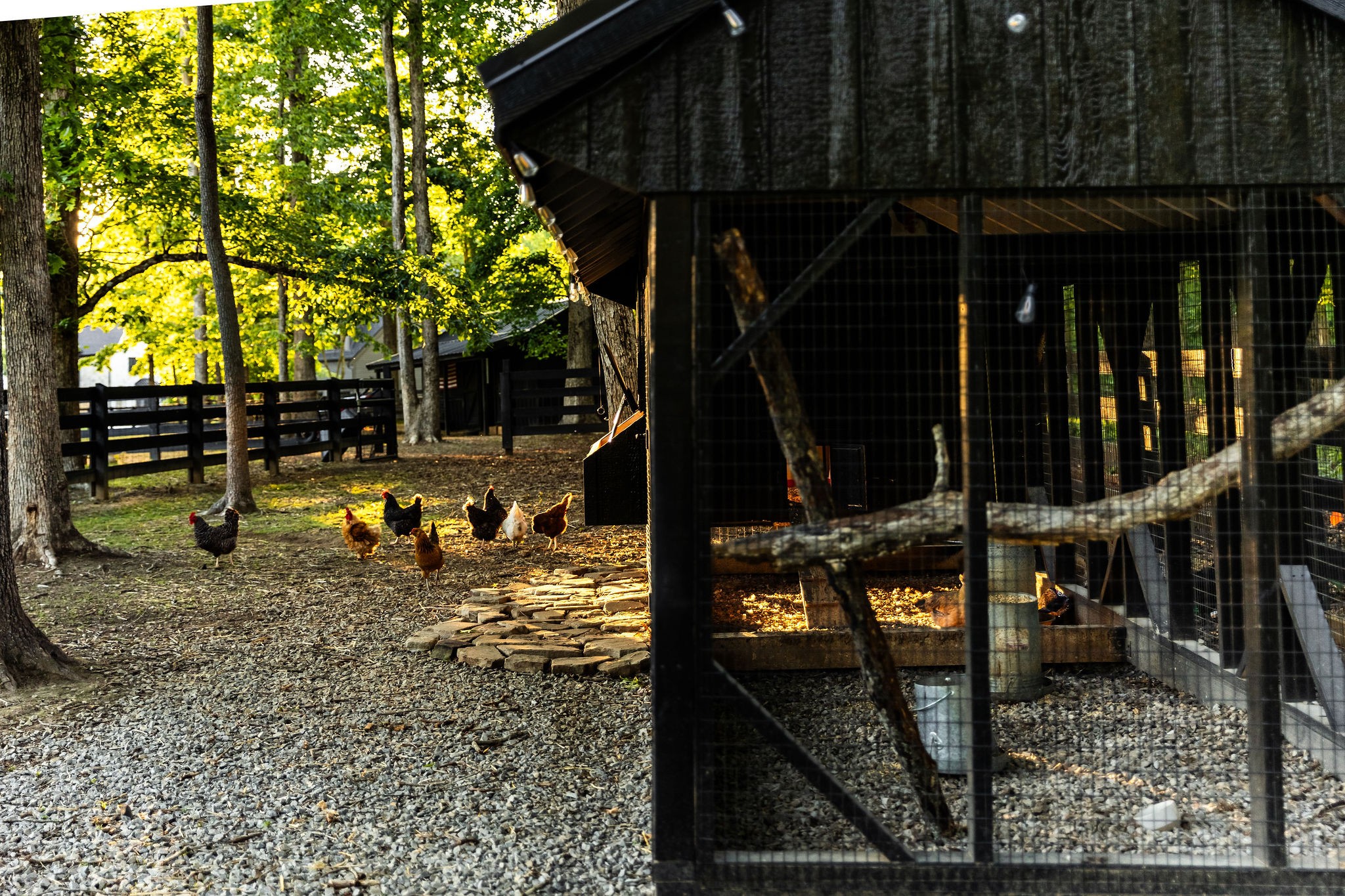 5004 Cobbler Ridge Road Franklin TN 37064