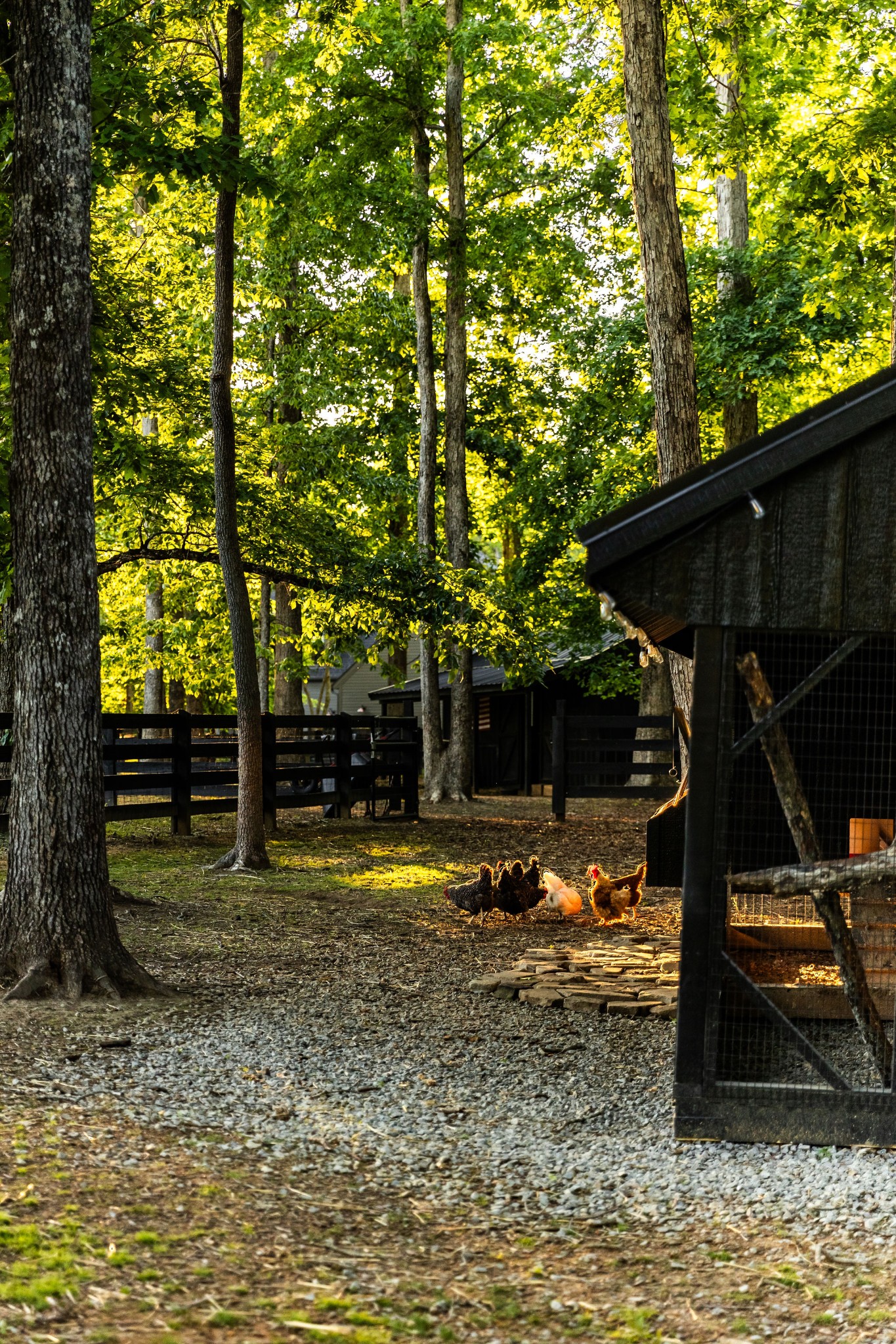 5004 Cobbler Ridge Road Franklin TN 37064