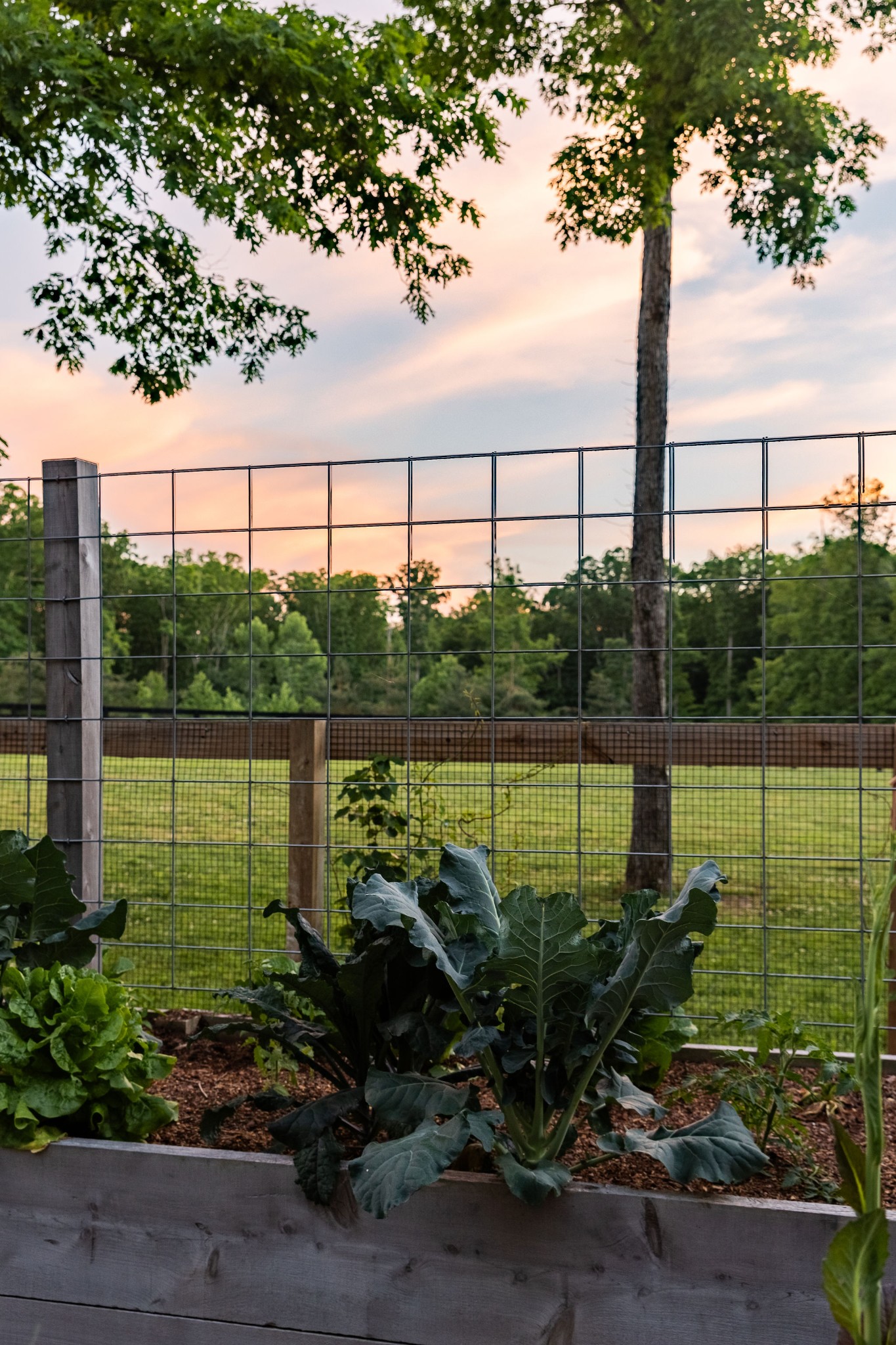 5004 Cobbler Ridge Road Franklin TN 37064