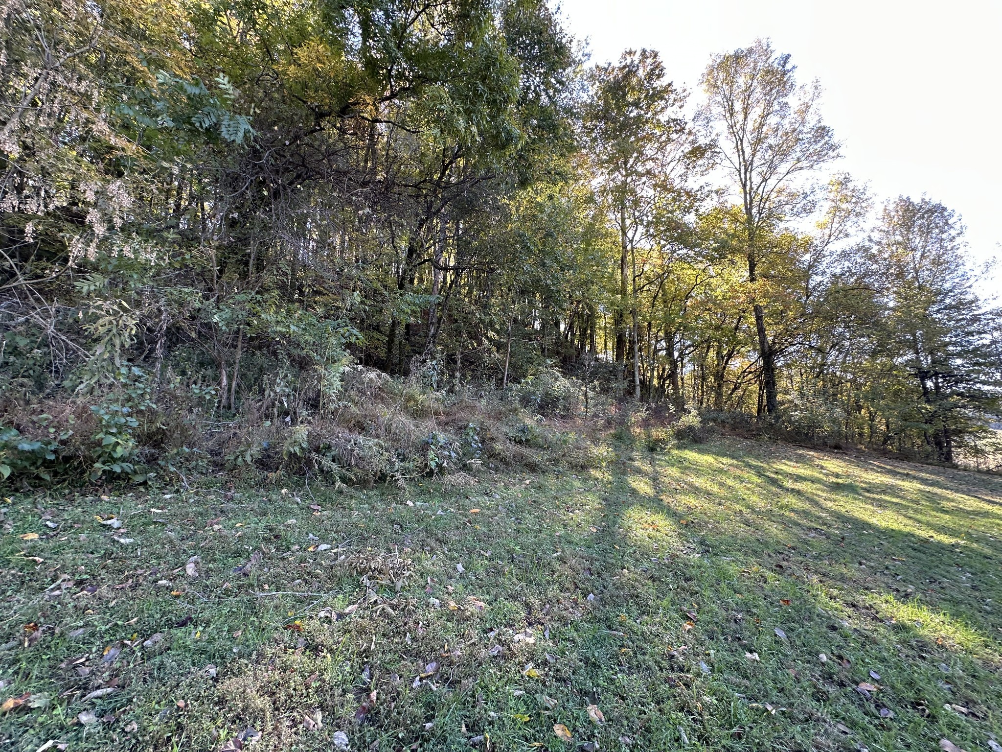 428 Turkey Creek Highway Carthage TN 37030