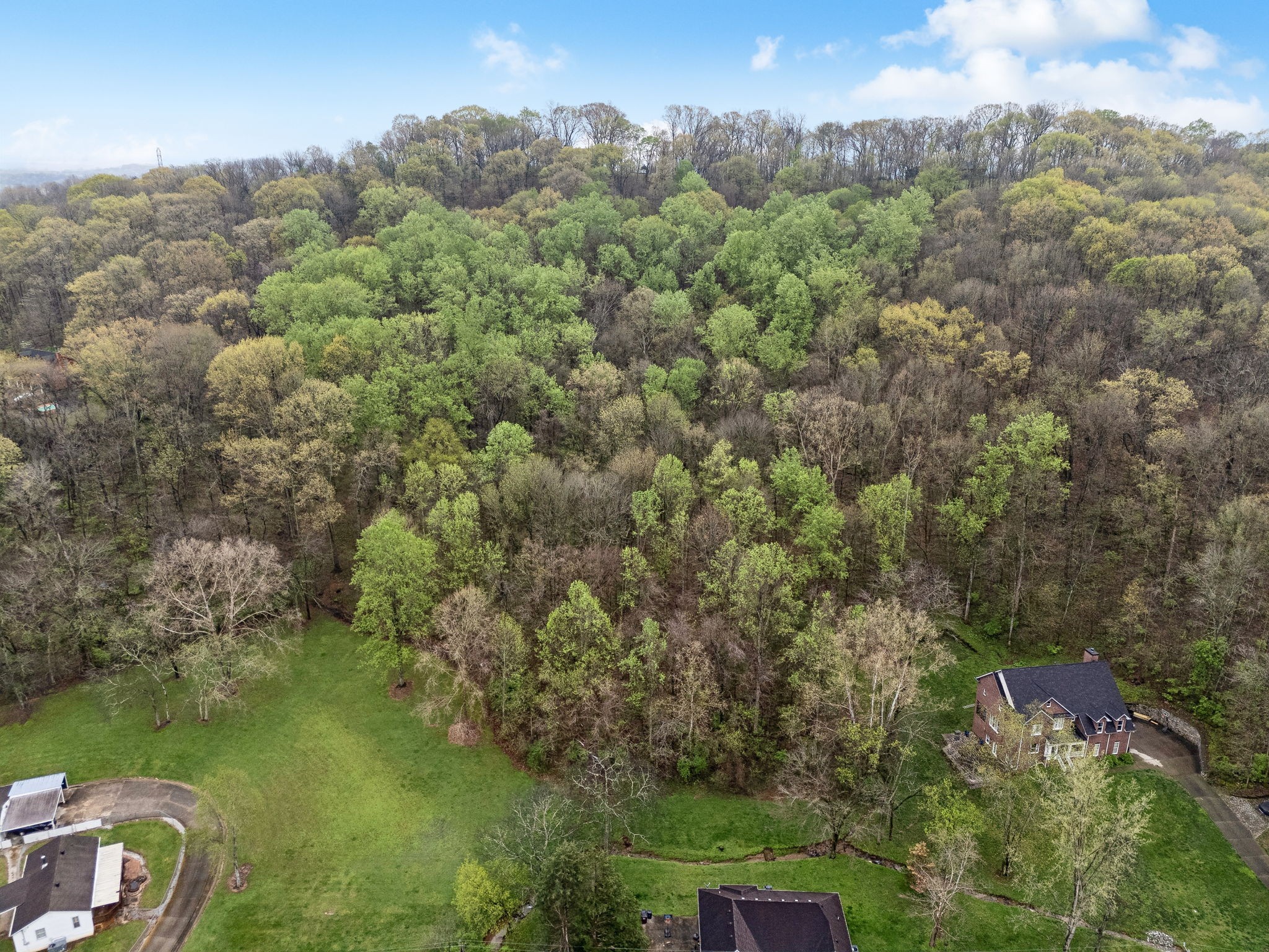 0 Creek Trail Drive Whites Creek TN 37189