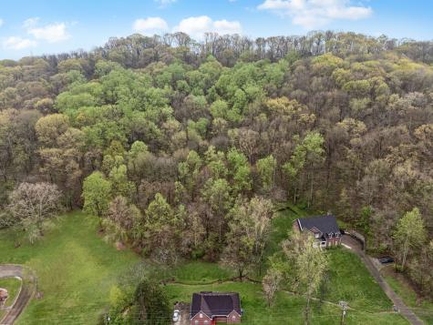 0 Creek Trail Drive Whites Creek TN 37189