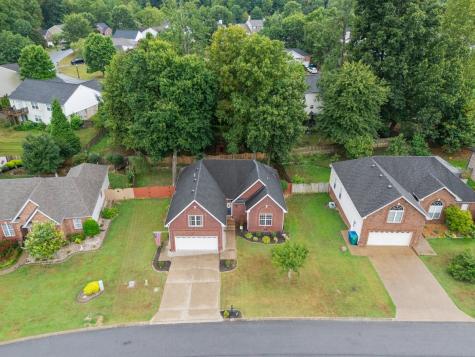 112 E Winterberry Trail White House TN 37188