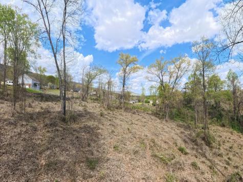 0 Woodland Drive Jasper TN 37347