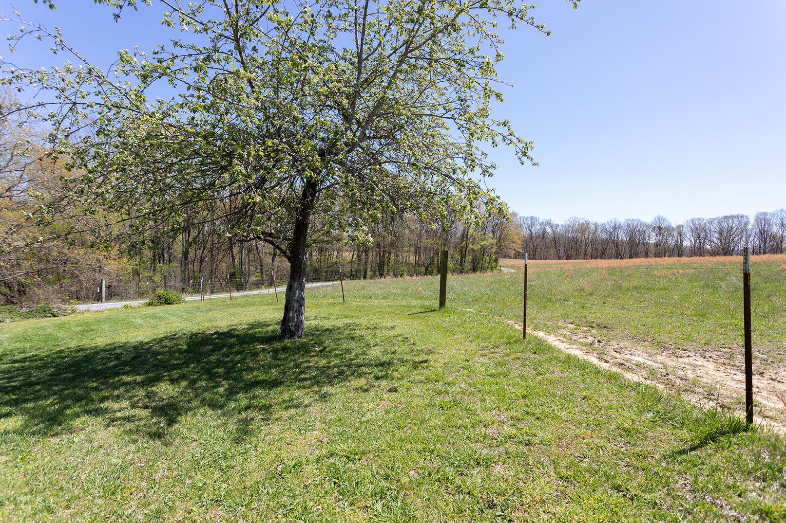 175 Twitty Road Dunlap TN 37327