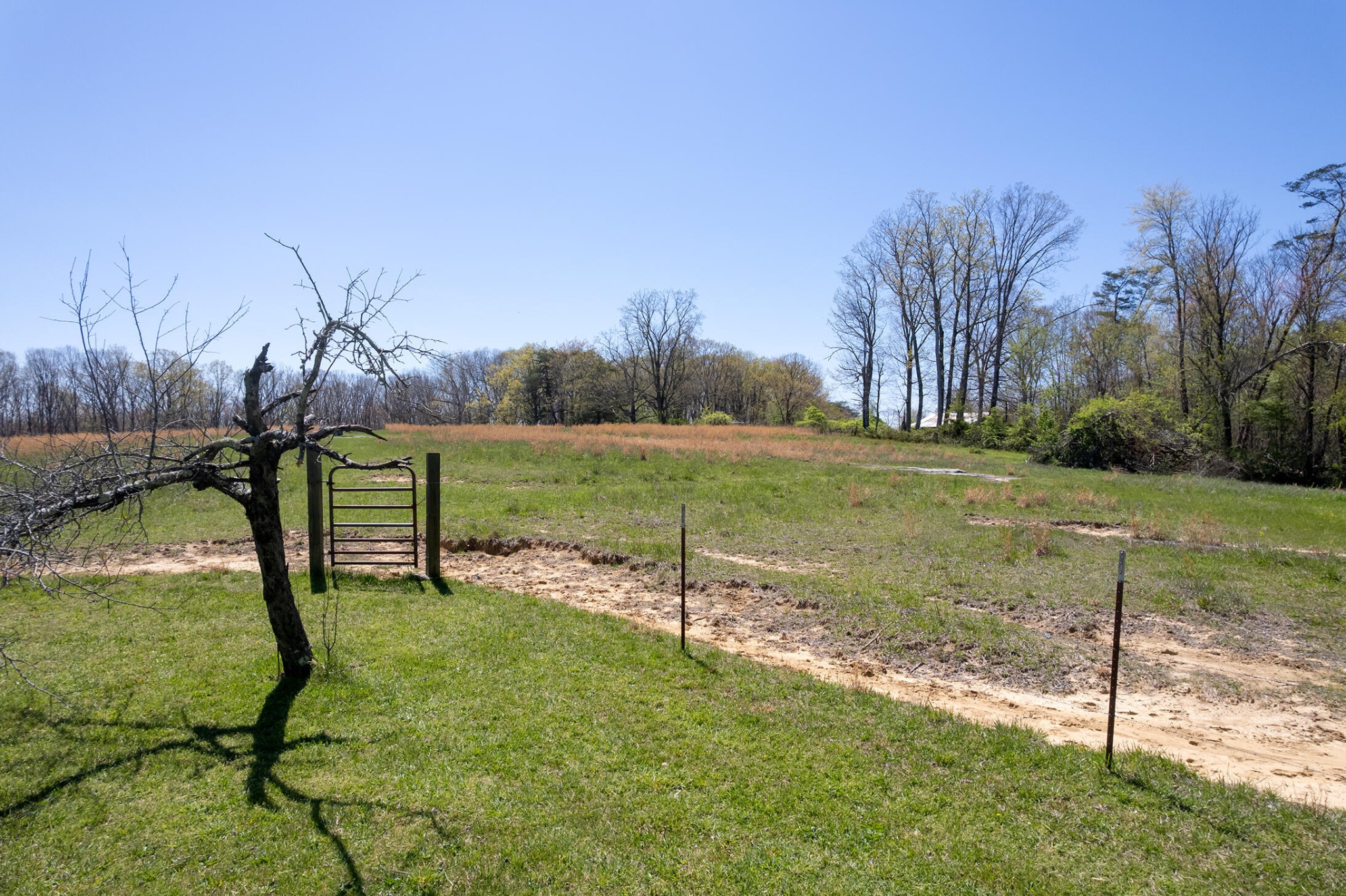 175 Twitty Road Dunlap TN 37327