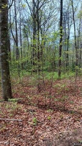 11901 Highway 150 Sequatchie TN 37374