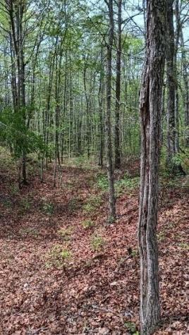 11901 Highway 150 Sequatchie TN 37374