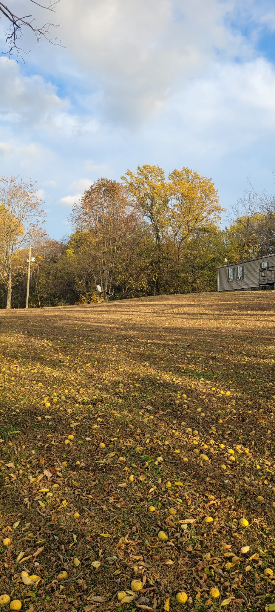 4698 Bennett Hollow Road Thompsons Station TN 37179