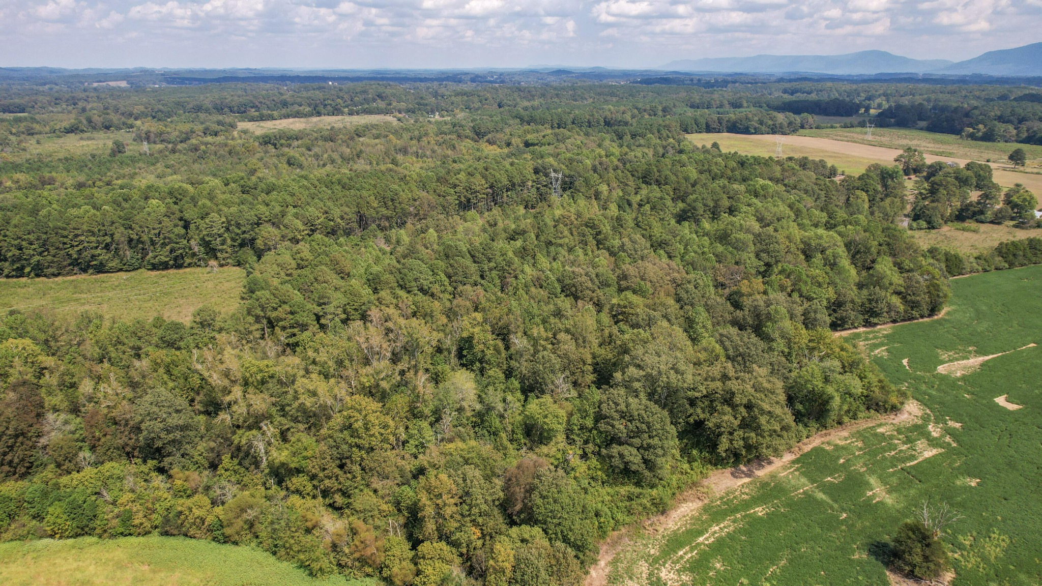 8093 Wright Lane, NE Cleveland TN 37323