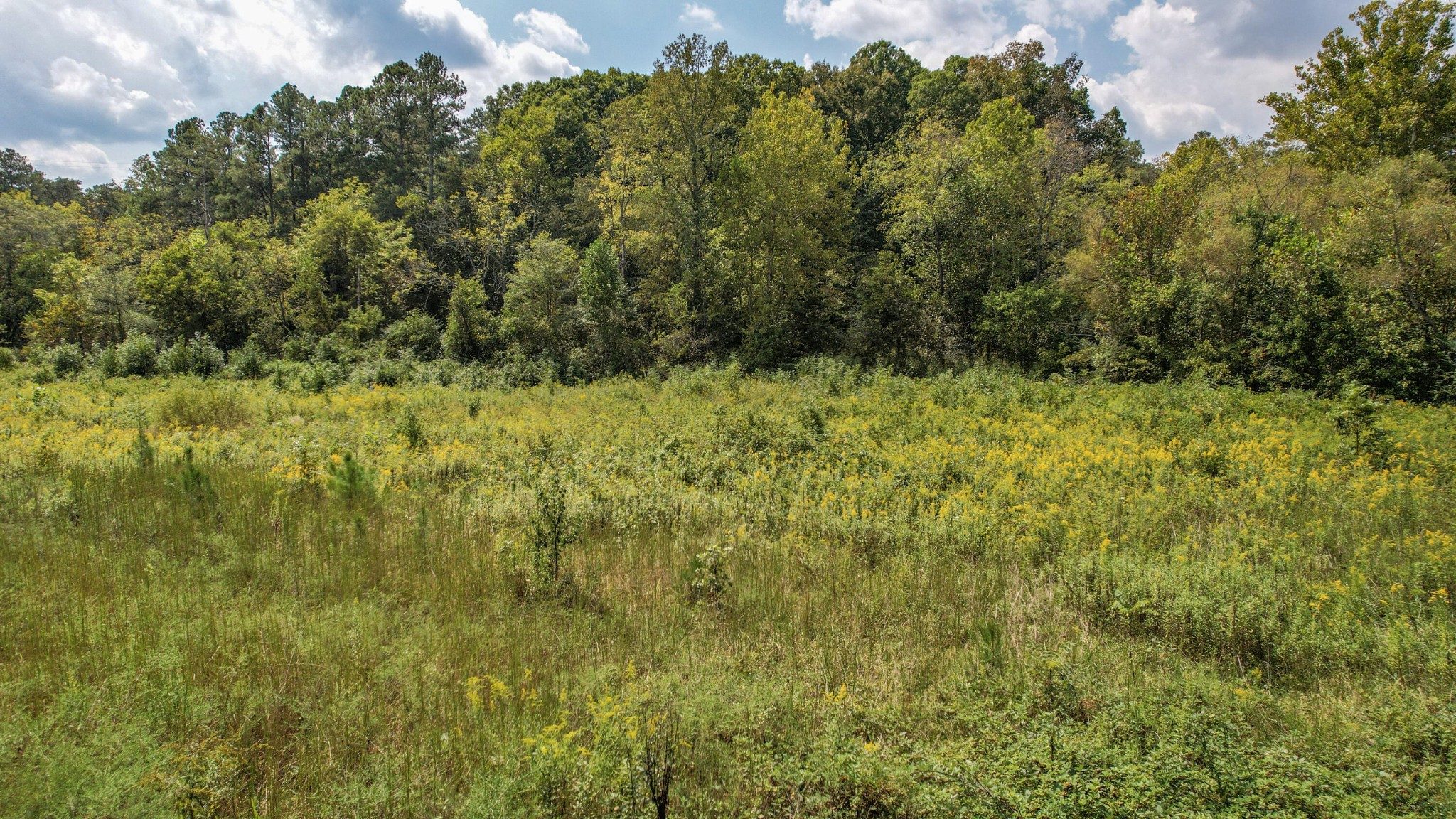 8093 Wright Lane, NE Cleveland TN 37323