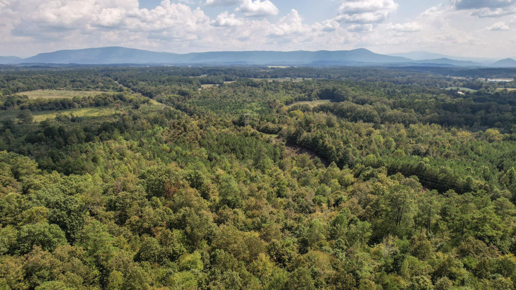 8093 Wright Lane, NE Cleveland TN 37323