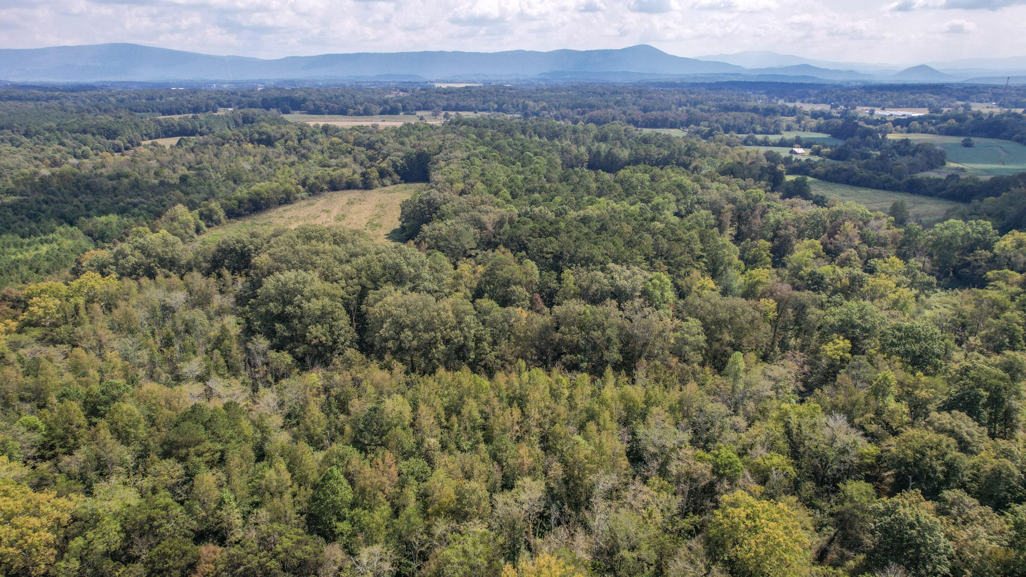 8093 Wright Lane, NE Cleveland TN 37323