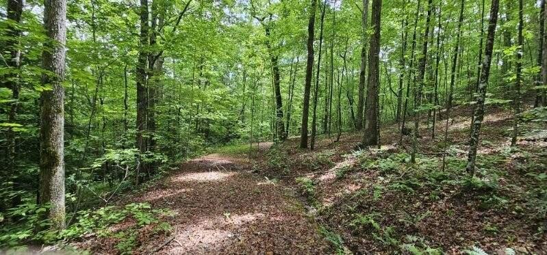 0 Oak Leaf Lane Dunlap TN 37327