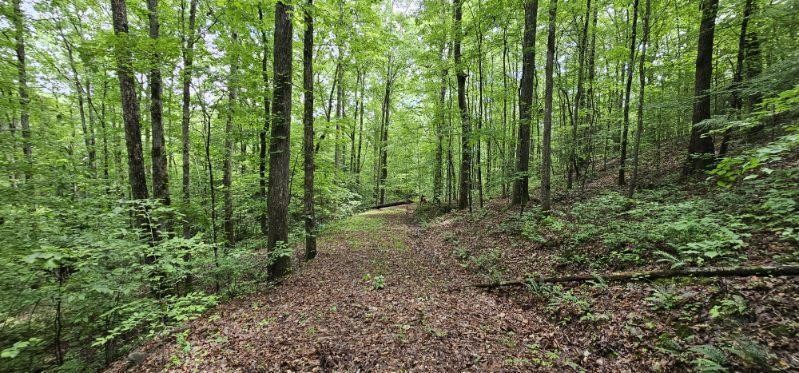 0 Oak Leaf Lane Dunlap TN 37327