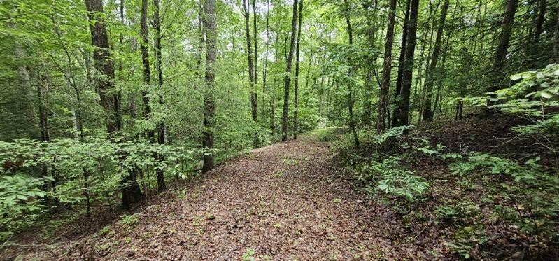 0 Oak Leaf Lane Dunlap TN 37327