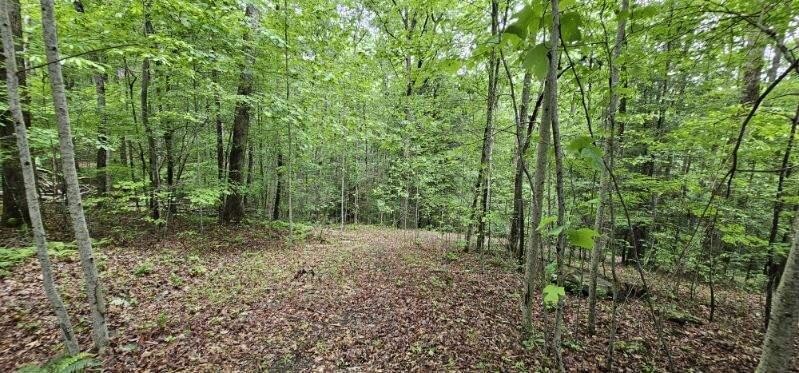 0 Oak Leaf Lane Dunlap TN 37327