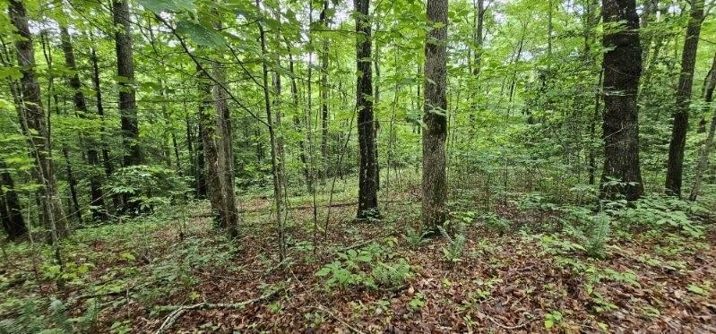 0 Oak Leaf Lane Dunlap TN 37327