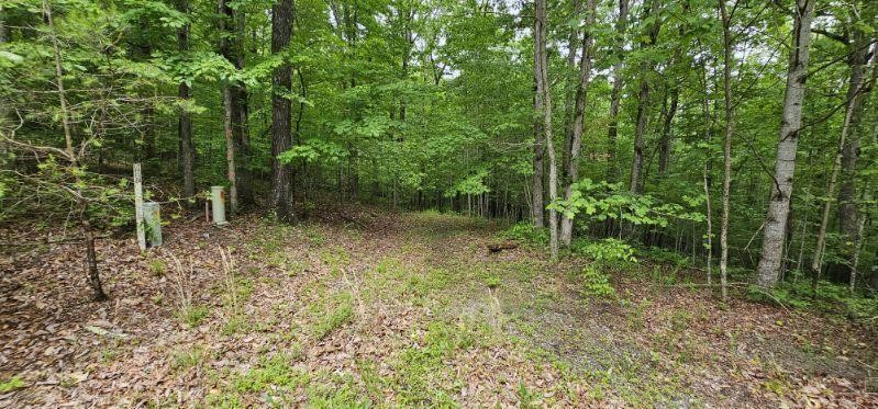 0 Oak Leaf Lane Dunlap TN 37327