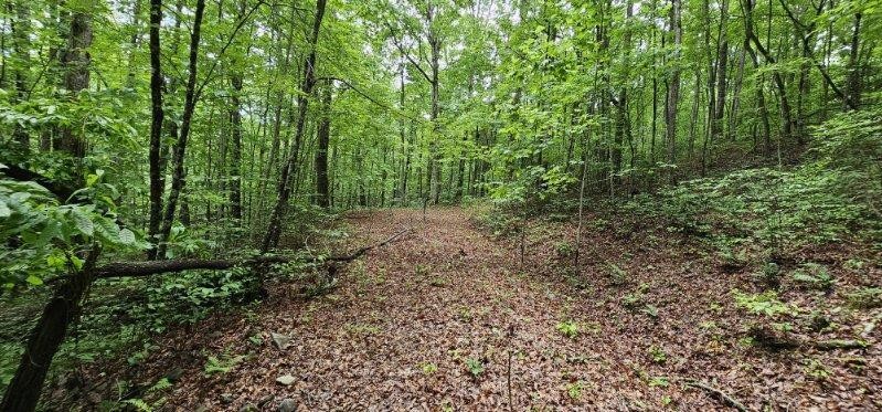 0 Oak Leaf Lane Dunlap TN 37327