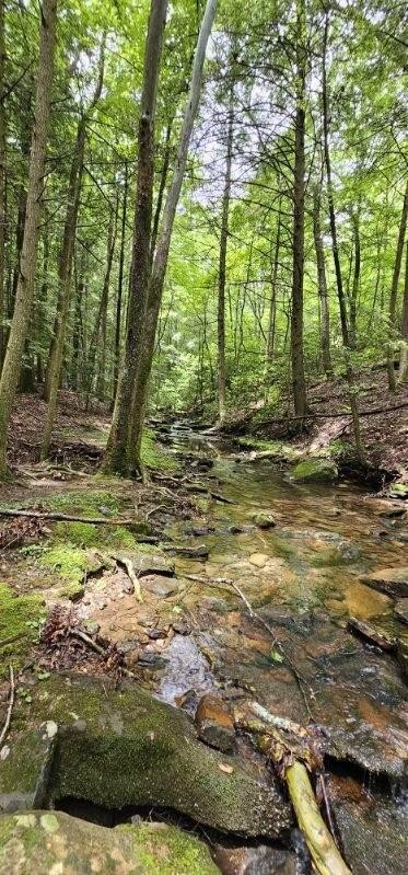 0 Oak Leaf Lane Dunlap TN 37327