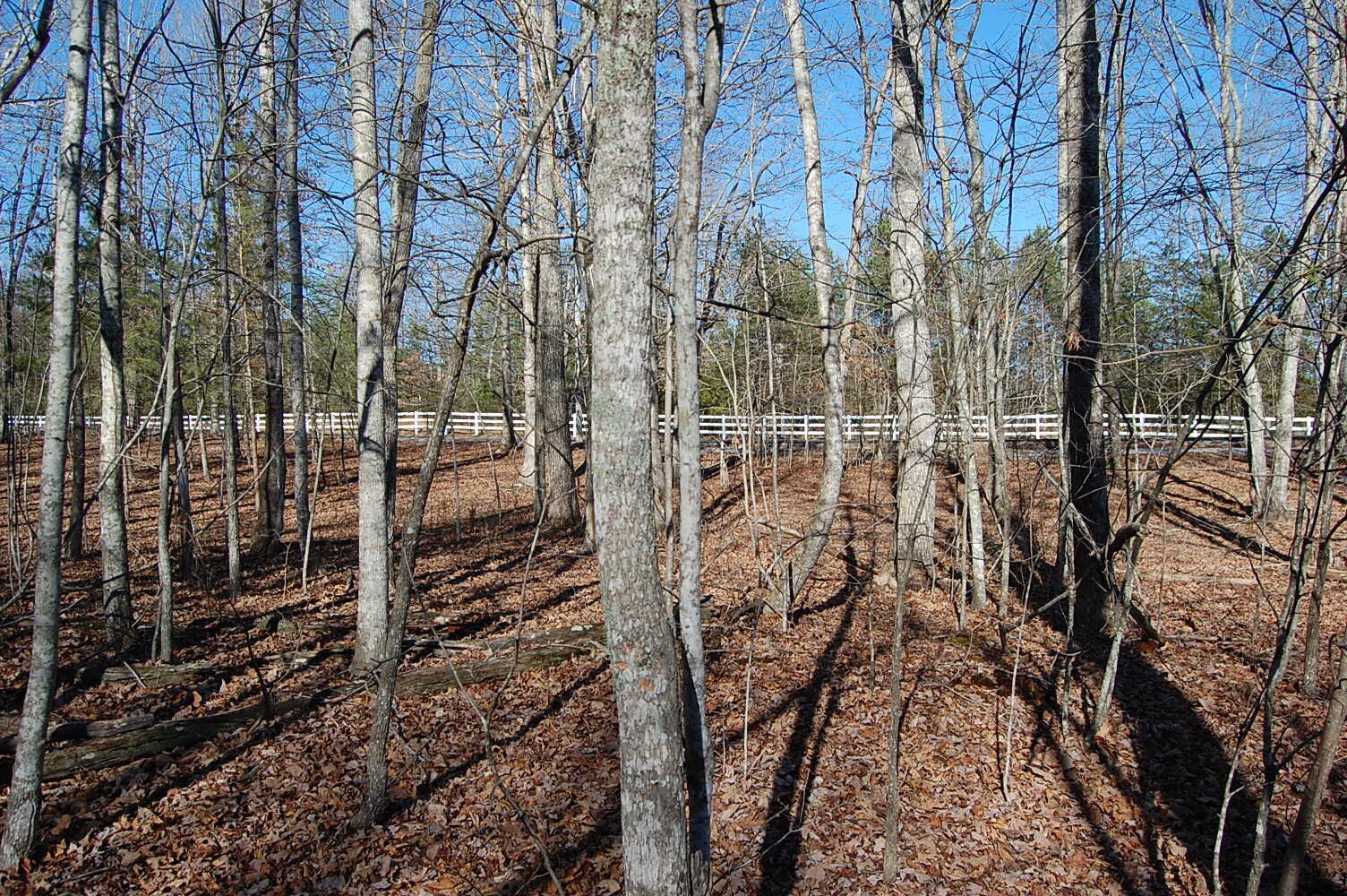 340 Bluff View Drive Dunlap TN 37327