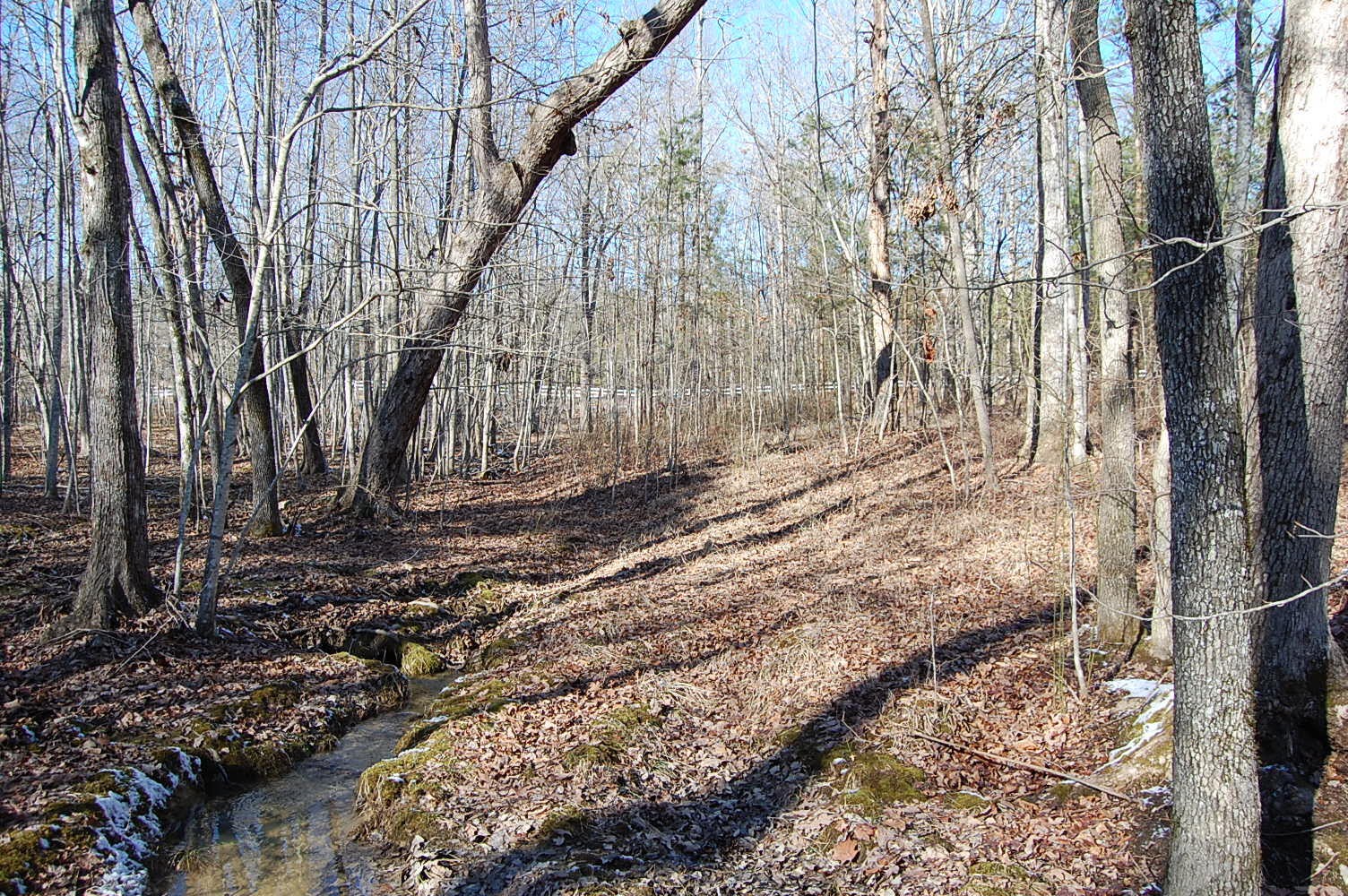 340 Bluff View Drive Dunlap TN 37327