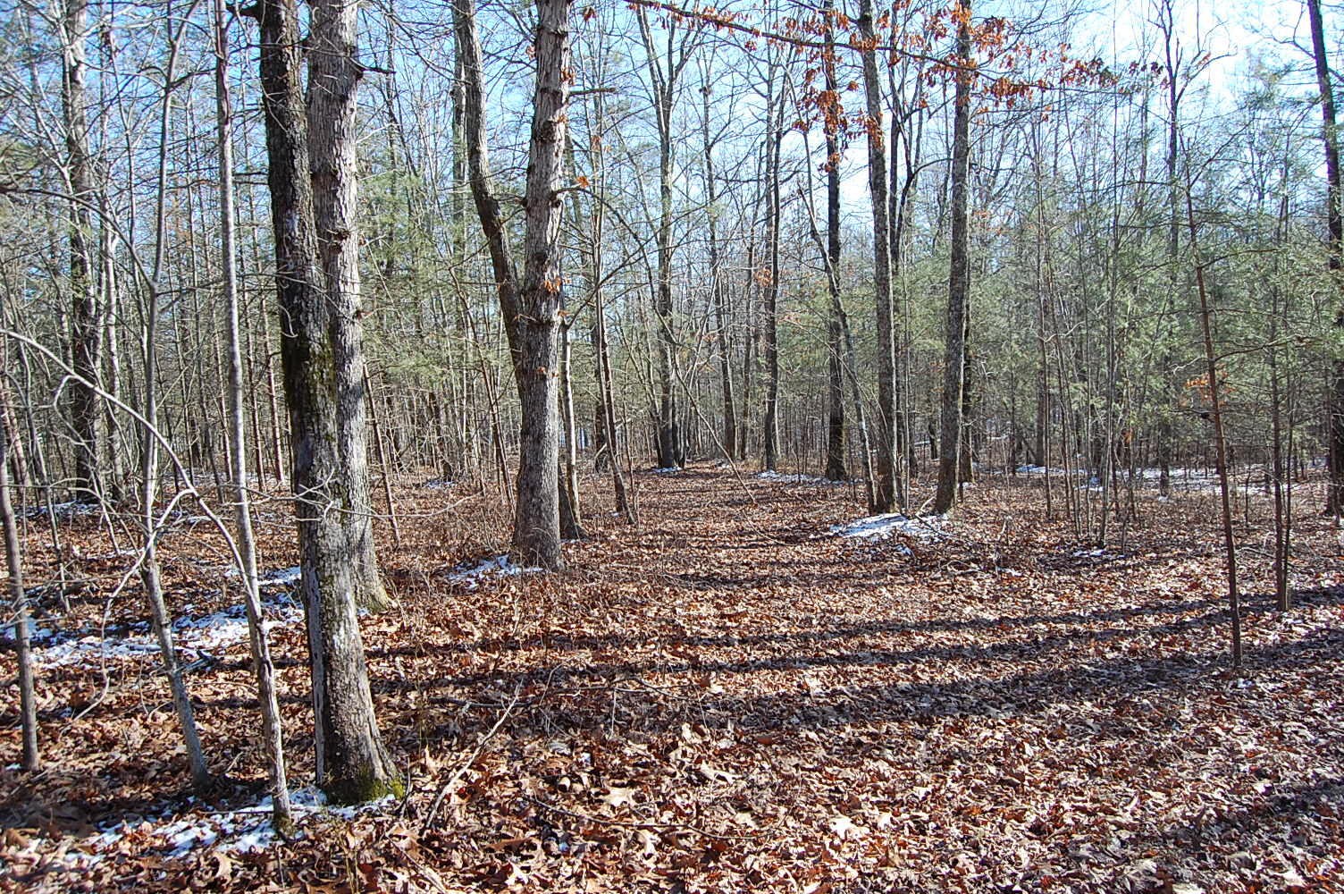 340 Bluff View Drive Dunlap TN 37327