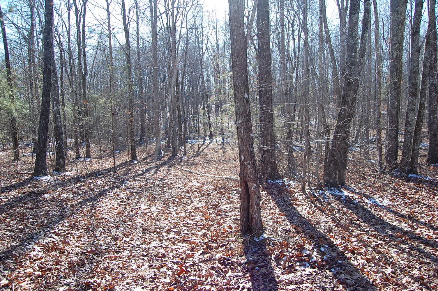 340 Bluff View Drive Dunlap TN 37327