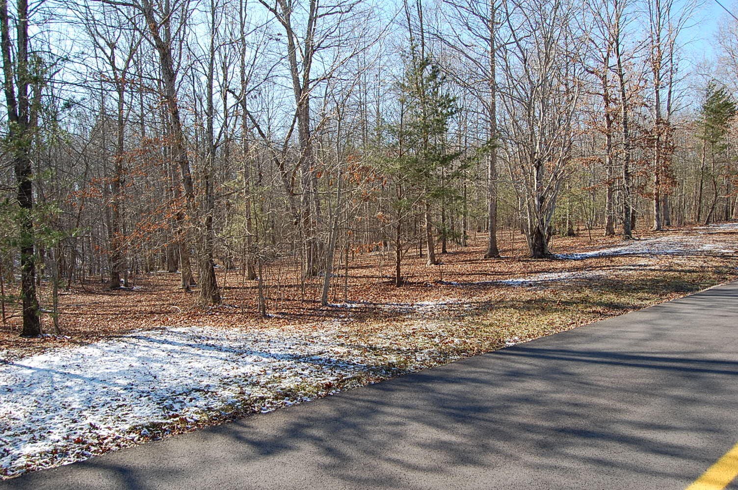 340 Bluff View Drive Dunlap TN 37327