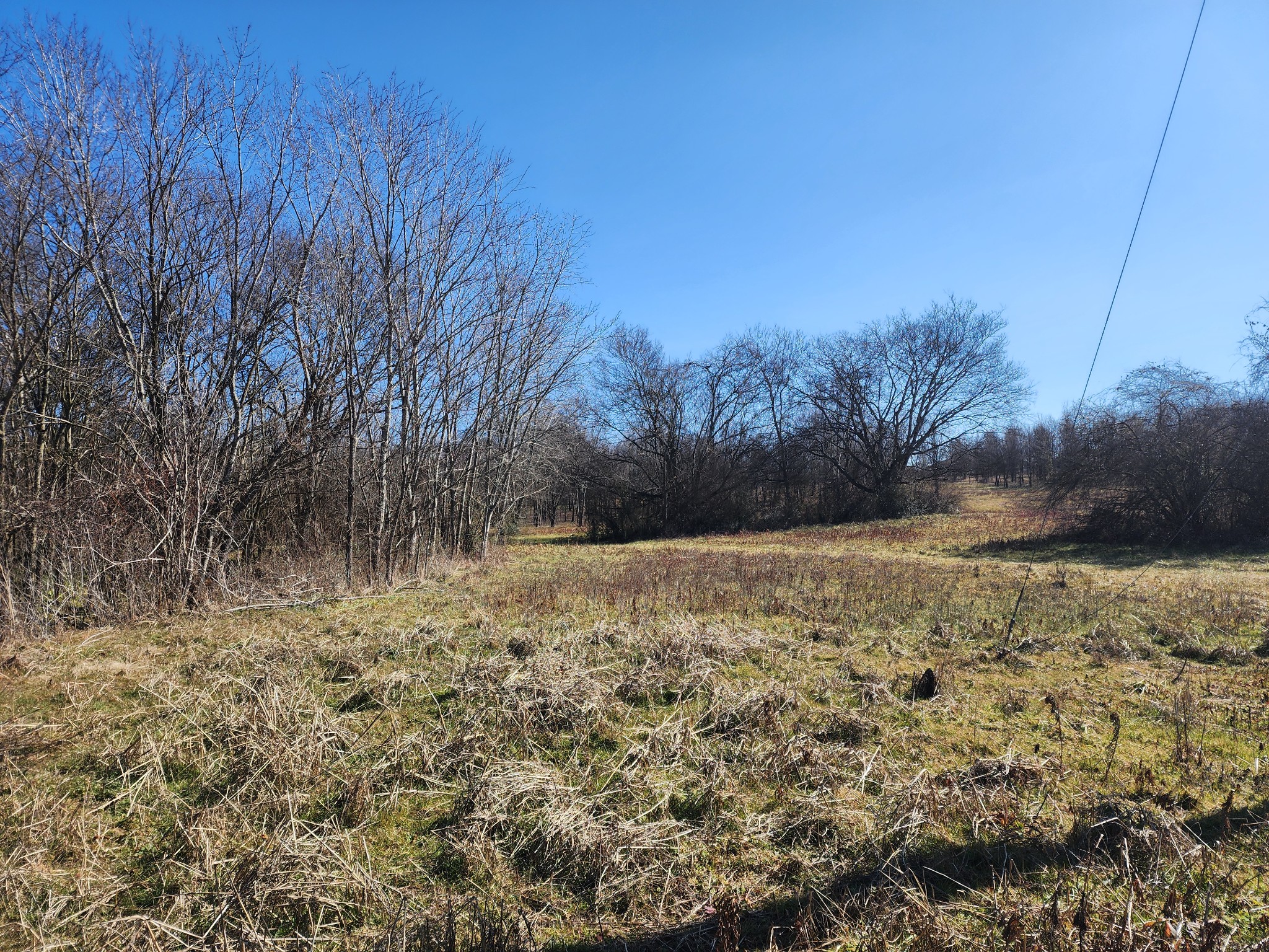 0 Highway 43 Lawrenceburg TN 38464
