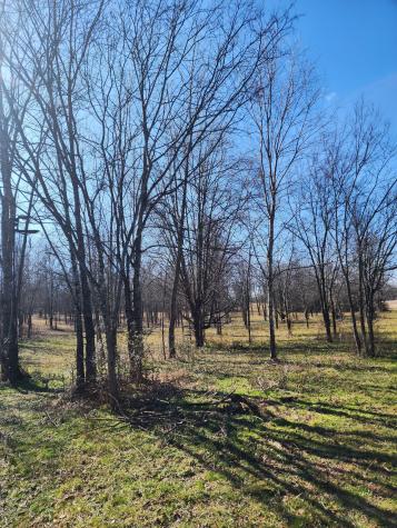 0 Highway 43 Lawrenceburg TN 38464