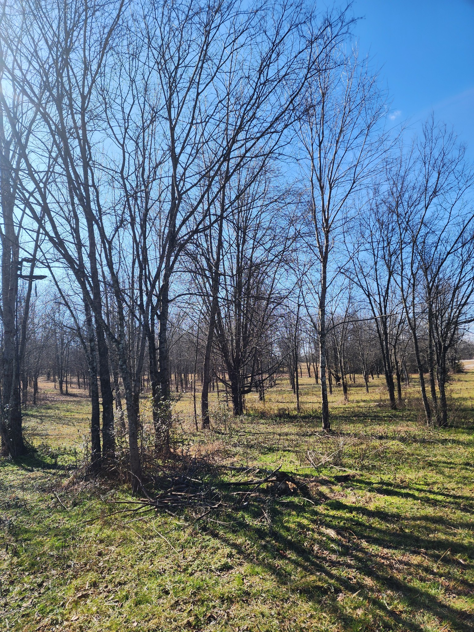 0 Highway 43 Lawrenceburg TN 38464