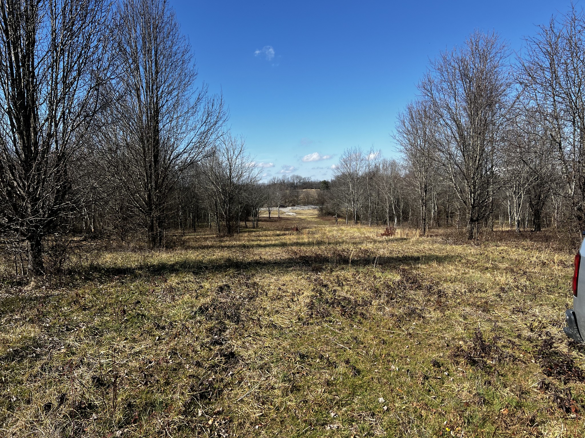 0 Highway 43 Lawrenceburg TN 38464