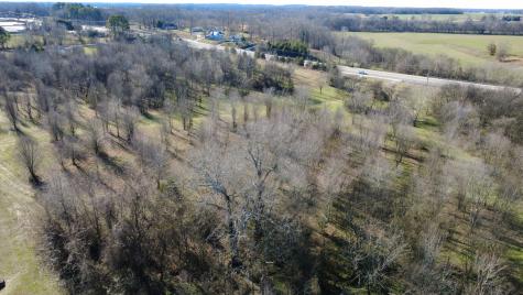 0 Highway 43 Lawrenceburg TN 38464