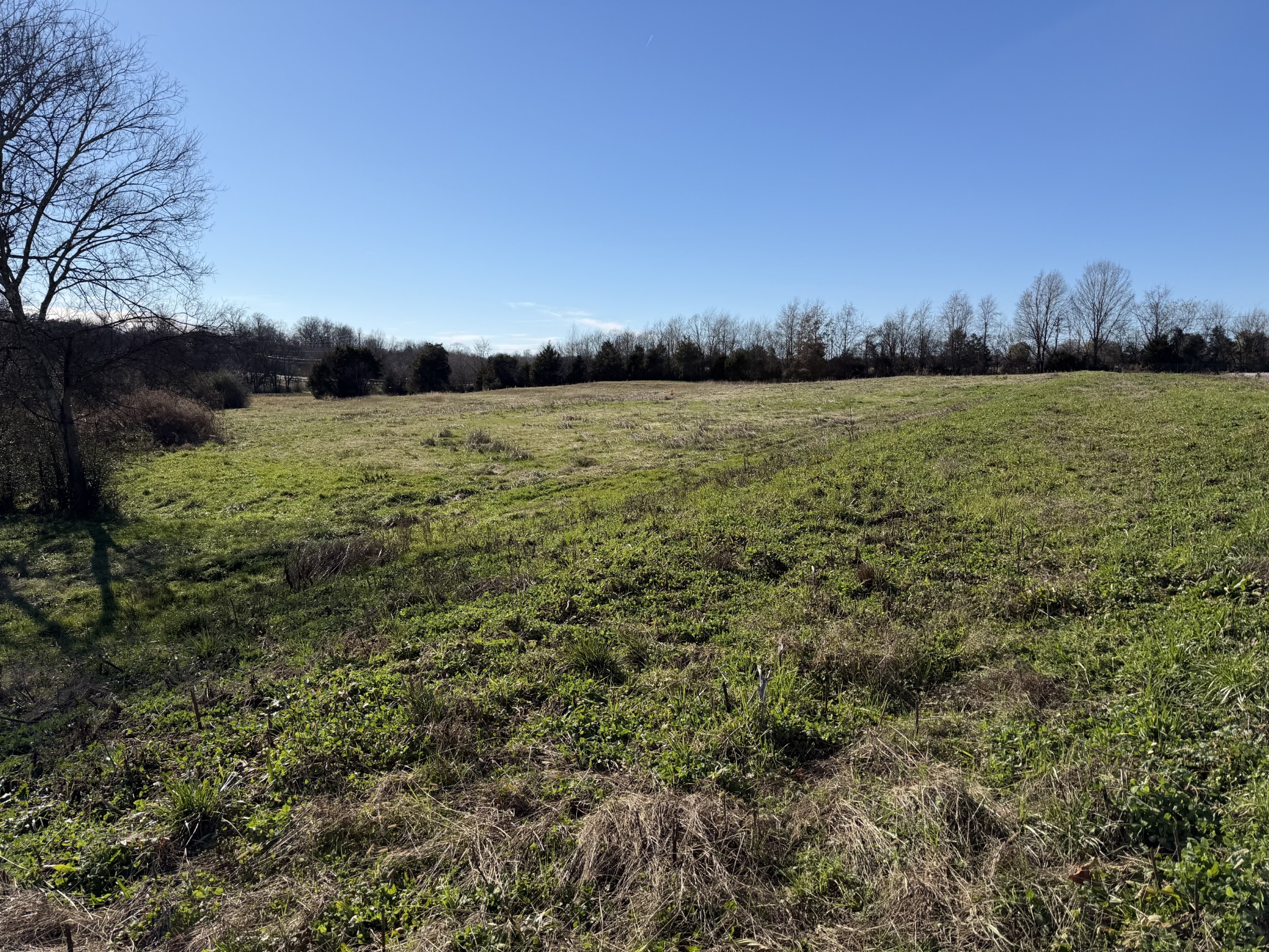 0 Highway 43 Lawrenceburg TN 38464